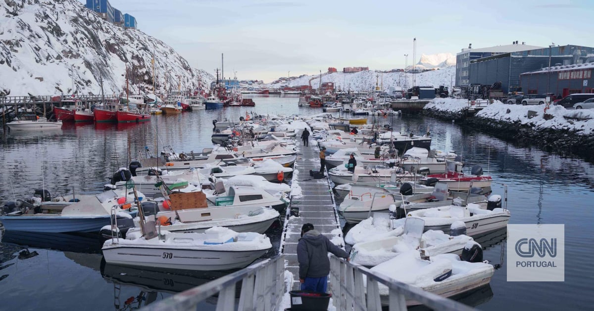 "If Trump keeps Greenland, there is a risk that Putin will advance on Svalbard"