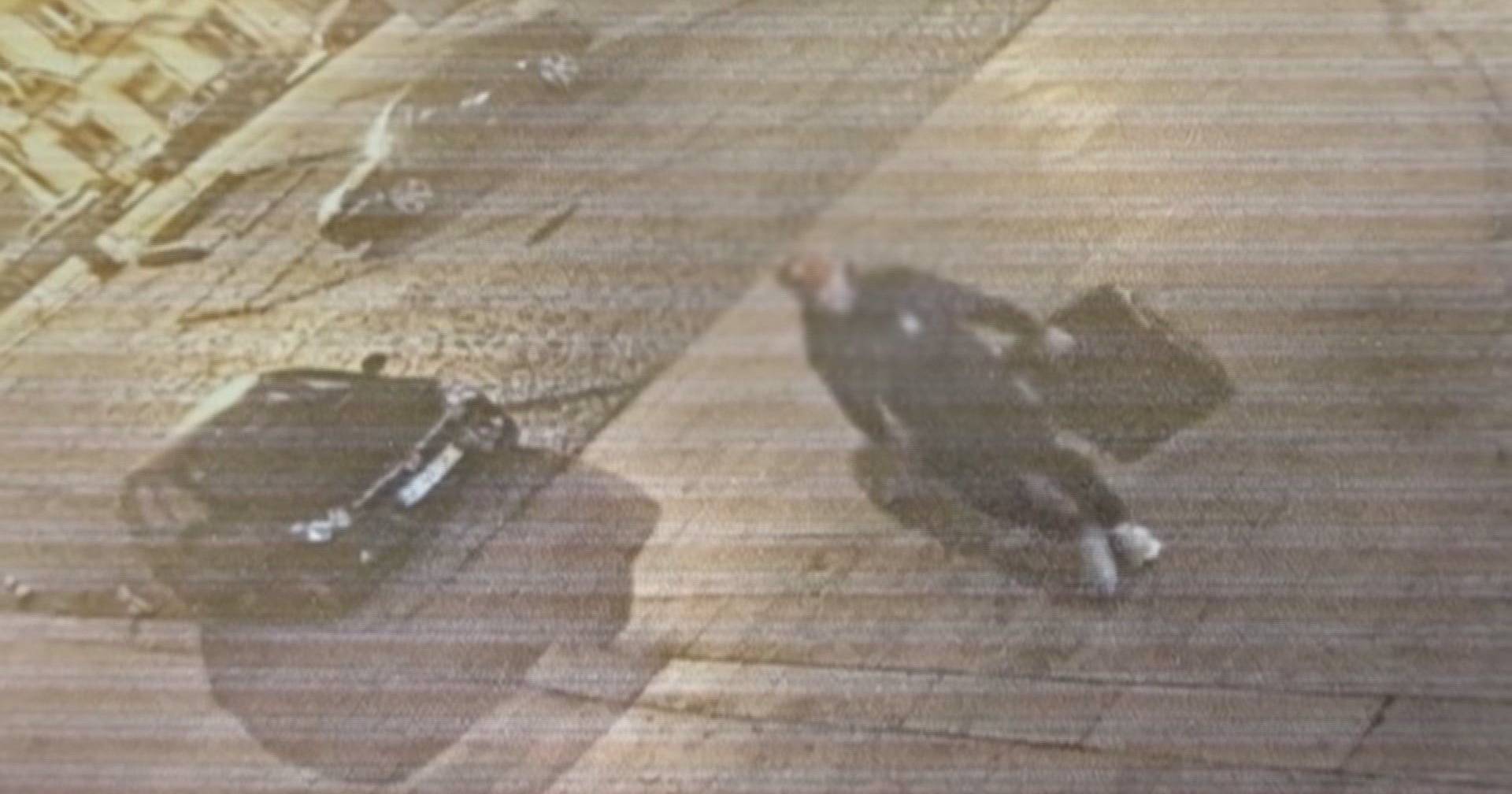 New images show Miguel Arruda carrying suitcases into the Assembly of the Republic