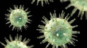 Study reinforces relationship between Epstein-Barr virus and multiple sclerosis