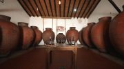 European City of Wine 2026: a journey through Baixo Alentejo with glass in hand