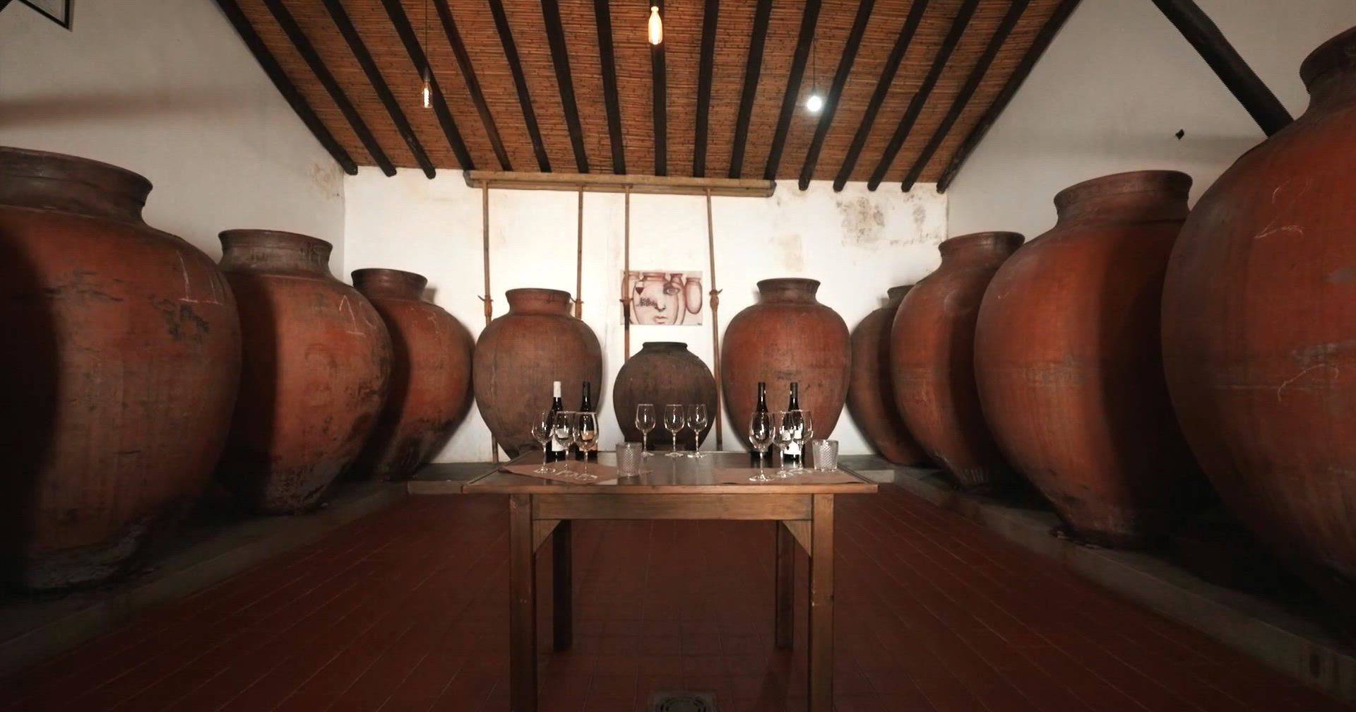 European City of Wine 2026: a journey through Baixo Alentejo with glass in hand