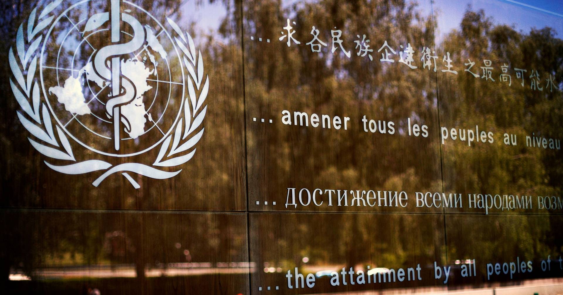 USA withdraws from WHO and refuses to pay 221 million euros in outstanding contributions