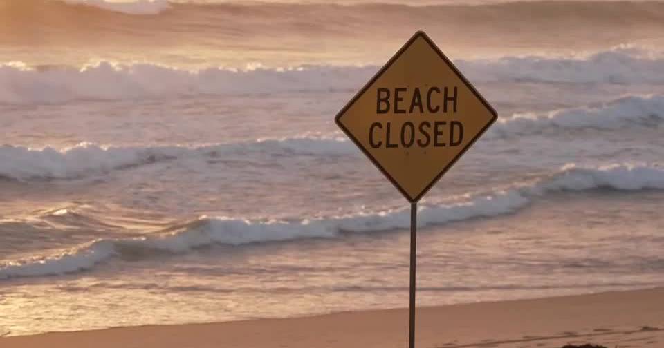 Red alert: environmental factors trigger shark attacks in Australia