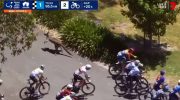 Cyclist wins race in Australia despite being knocked down by kangaroo