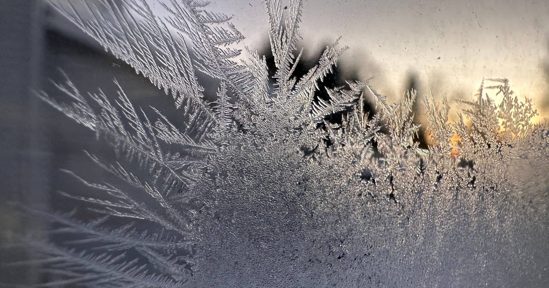 Poland faces the harshest winter in 16 years, at least 28 people have died