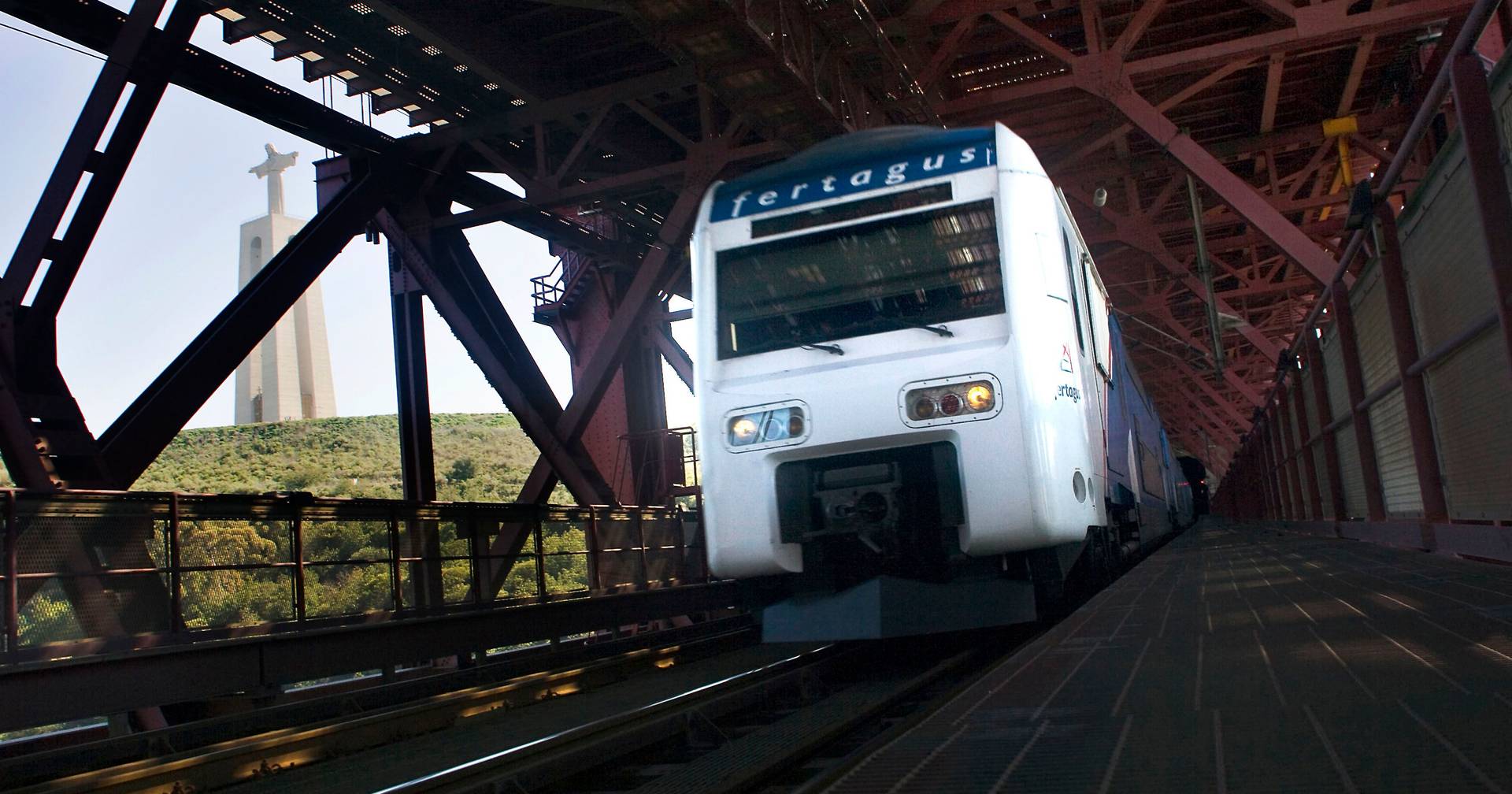 Tree fall forces "single lane" on the Fertagus connection between Setúbal and Lisbon