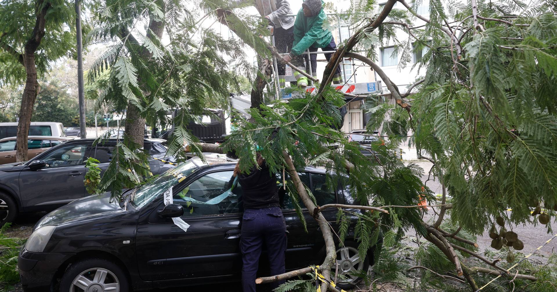 Social networks mirror the trail of destruction: thousands of videos show the damage caused by depression Kristin