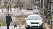 Imminent threat of flooding leads GNR to rescue 25 dogs in Gondomar