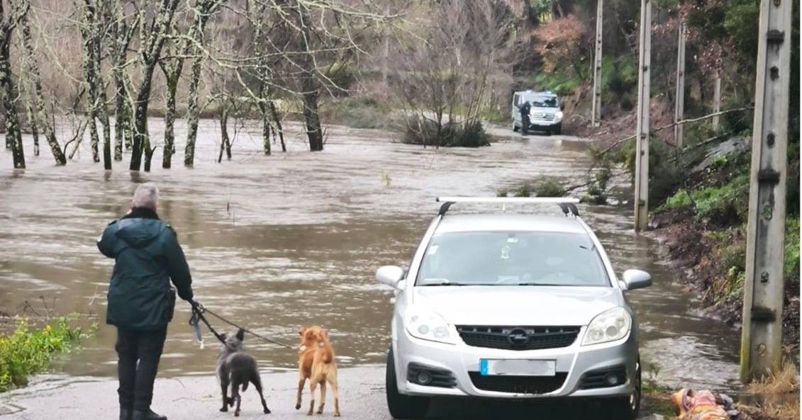 Imminent threat of flooding leads GNR to rescue 25 dogs in Gondomar