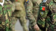 Army mobilizes another 13 intervention teams to Tomar and Ferreira do Zêzere