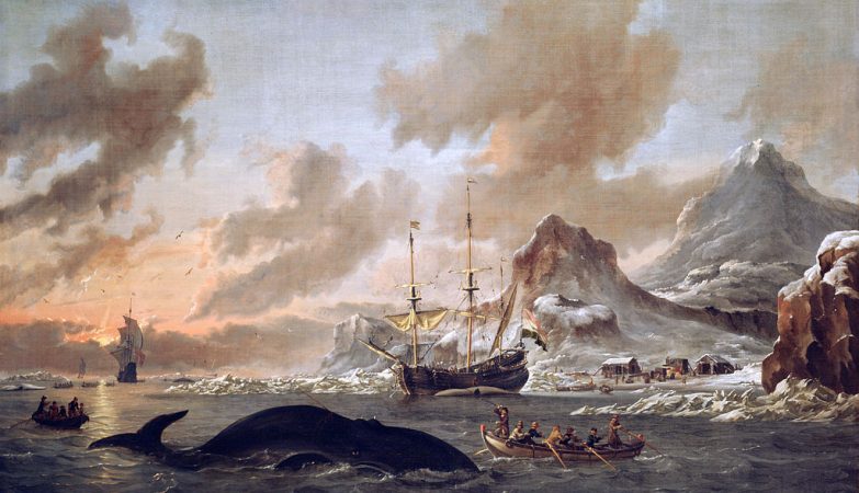 World's oldest harpoon reveals that whaling is much older than previously thought