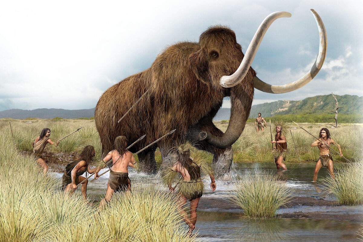 “Mammoth” bones were in a museum 70 years ago. After all, it was a totally different animal