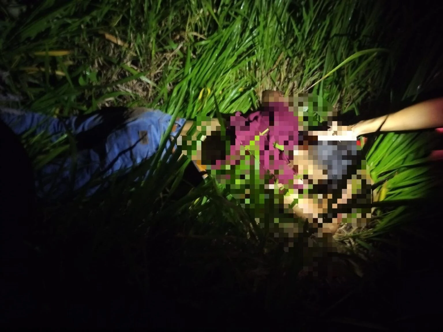 Tragedy on BR-364: young man dies after hitting an ox that was loose on the road