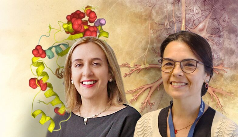 Compound discovered that may delay symptoms of Machado-Joseph disease