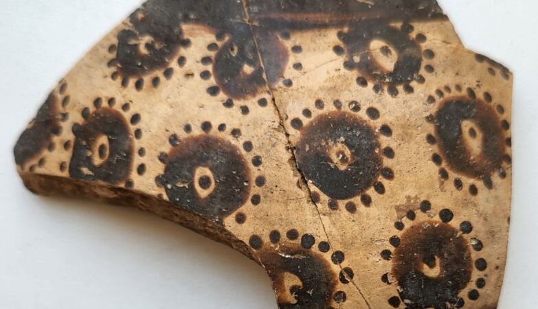 Oldest known botanical art reveals early mathematical thinking