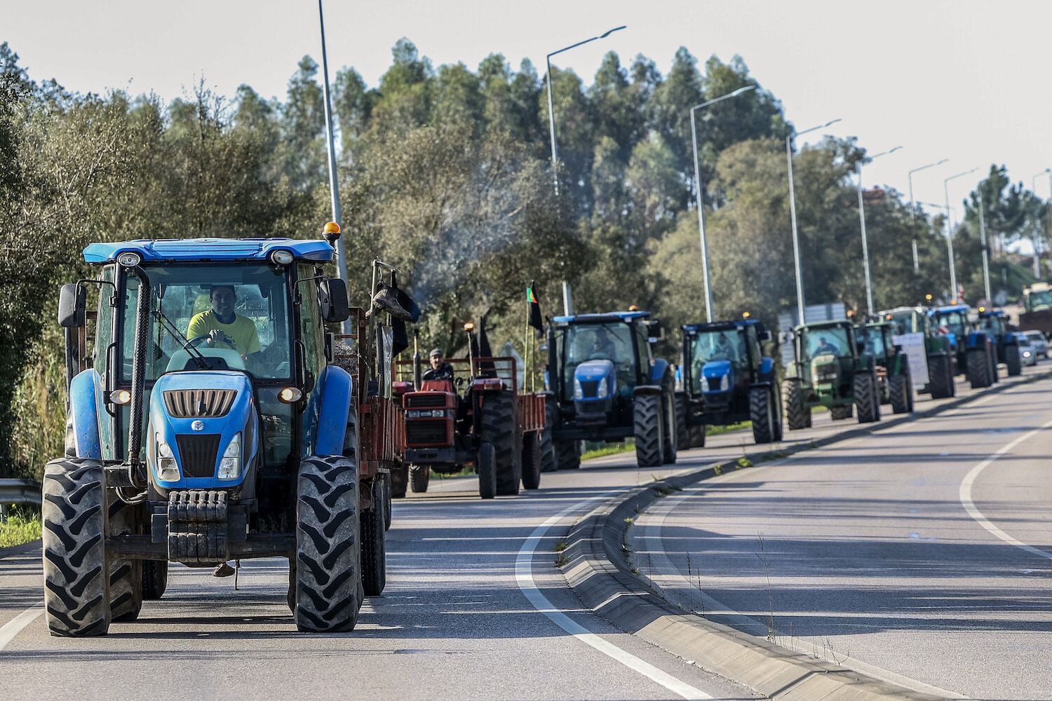 EU-Mercosur agreement closed. There will be “more losses than gains”