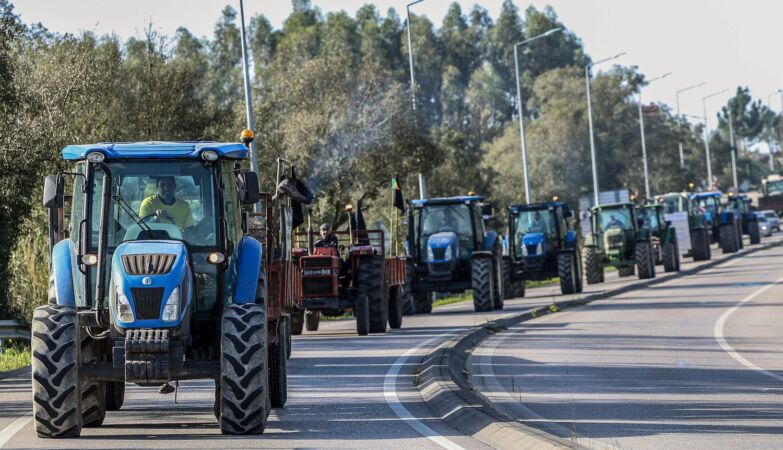 EU-Mercosur agreement closed. There will be “more losses than gains”
