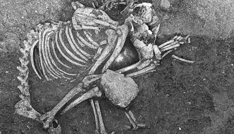 2,500 years ago, at great banquets in Bulgaria, dog meat was served