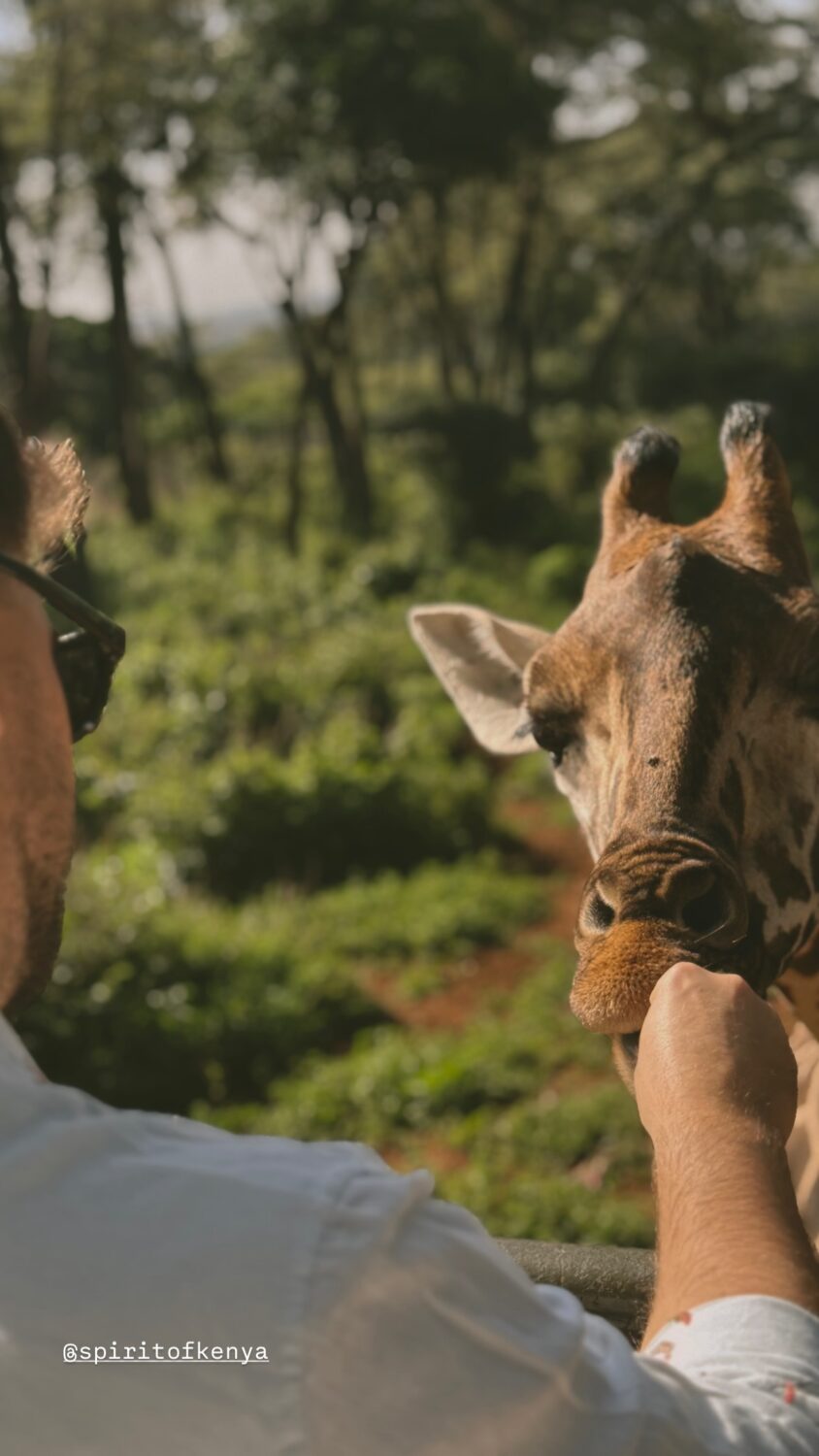 Cristina Ferreira reveals her holiday destination with João Monteiro: “After a 7-hour flight and another 5-hour flight…”