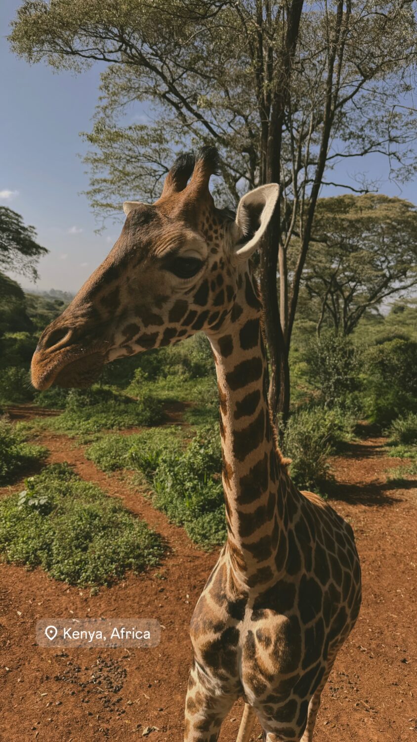 Cristina Ferreira reveals her holiday destination with João Monteiro: “After a 7-hour flight and another 5-hour flight…”