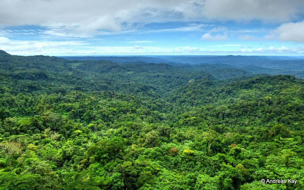The Amazon is entering a “hypertropical” climate for the first time in 10 million years