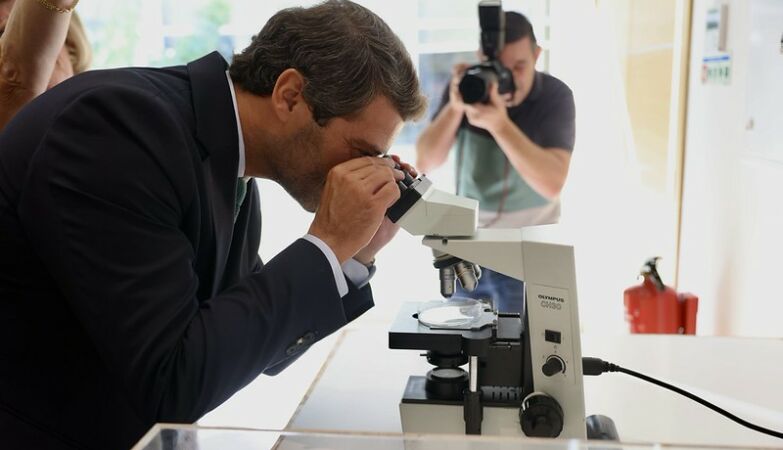 Petition to illegalize Chega partially admitted to debate in parliament