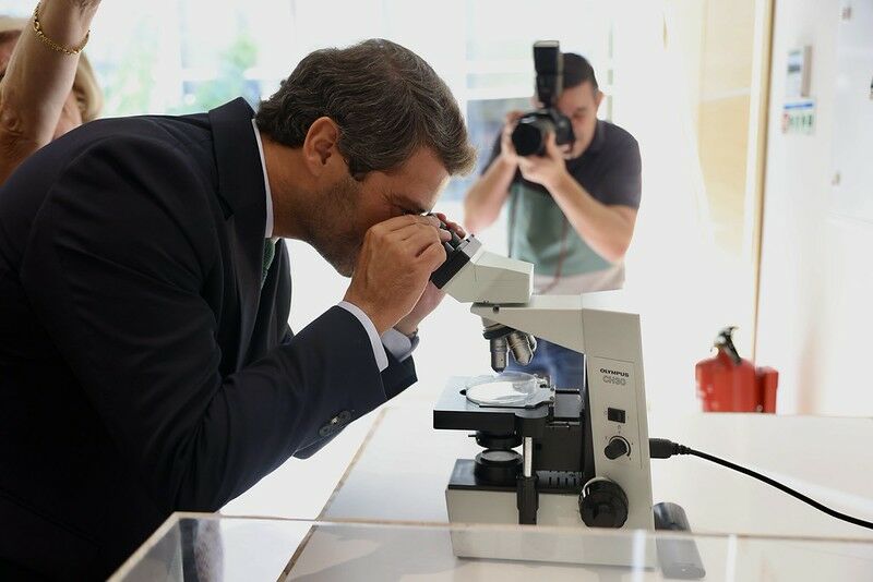 Petition to illegalize Chega partially admitted to debate in parliament