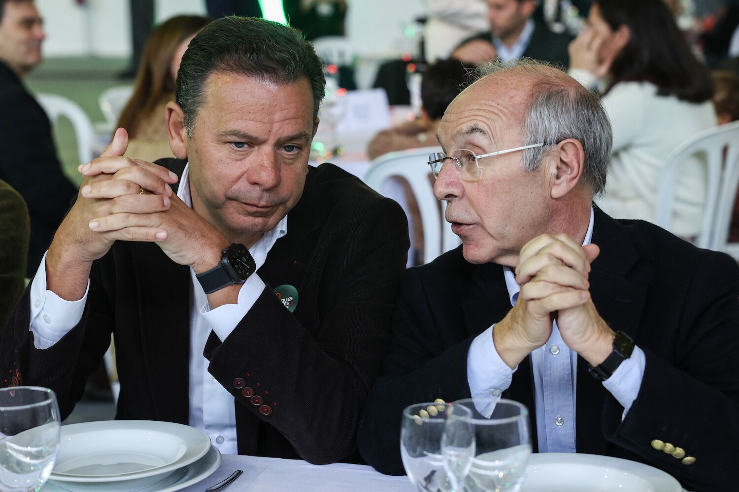 “The meteor fell with a bang.” In the PSD, no one saw it, no one knows anything, no one was at the presidential elections