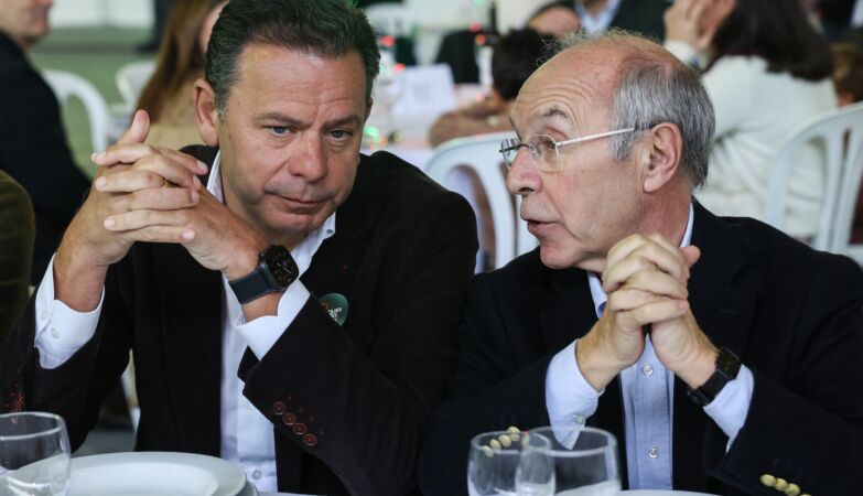 “The meteor fell with a bang.” In the PSD, no one saw it, no one knows anything, no one was at the presidential elections