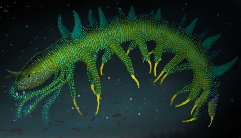 Hallucigenia dinner discovered, one of the rarest (and most bizarre) animals in history