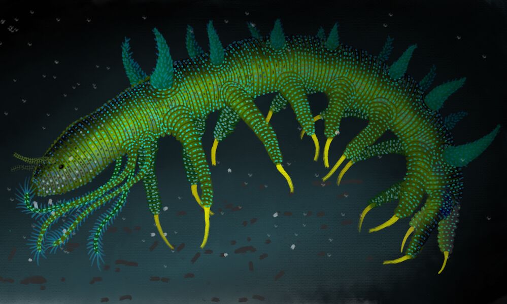 Hallucigenia dinner discovered, one of the rarest (and most bizarre) animals in history