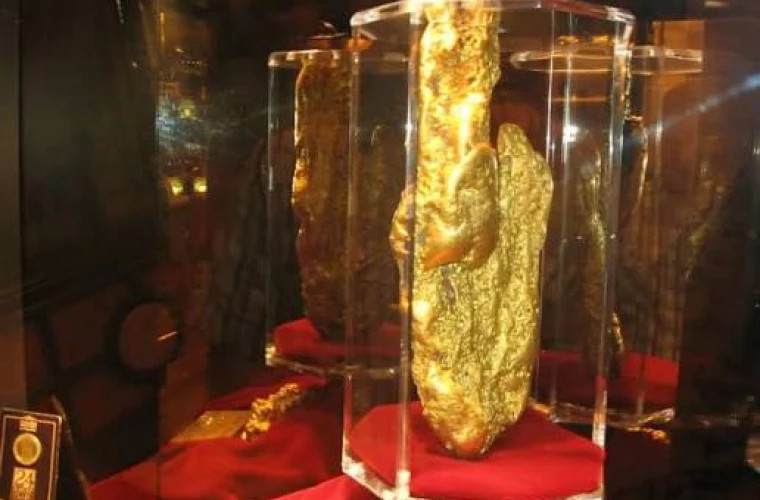 How much did the largest piece of gold ever discovered weigh
