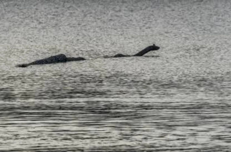 The most famous seeker of Nessie has admitted that she does not exist