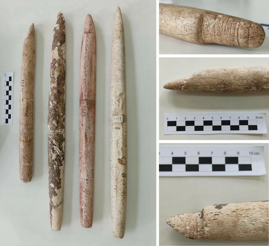 World's oldest harpoon reveals that whaling is much older than previously thought