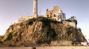 Coyote made “impossible crossing” of Alcatraz… by swimming
