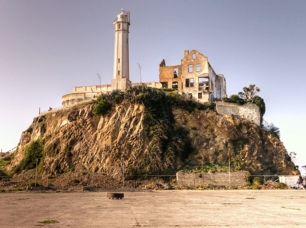 Coyote made “impossible crossing” of Alcatraz… by swimming