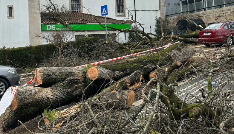 Three storms in a few days: weaknesses (and solutions) in Portugal