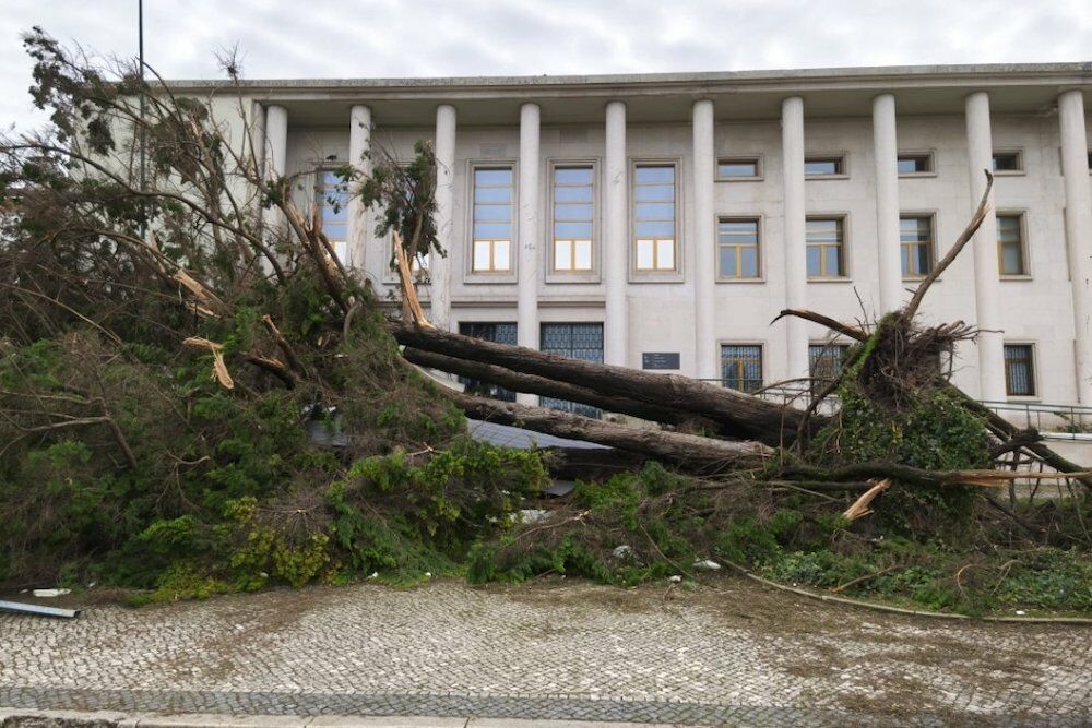 It looks like there was an earthquake or a war in Leiria