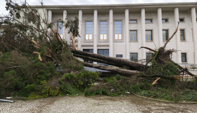 It looks like there was an earthquake or a war in Leiria