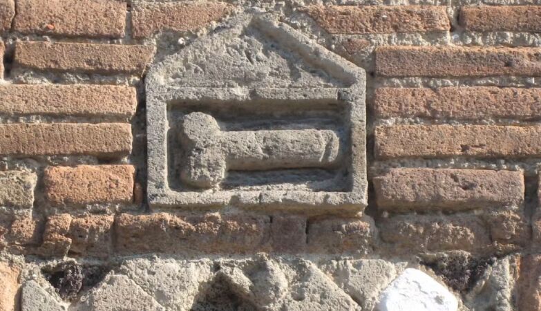 Study reveals that the size of the human penis evolved for two purposes