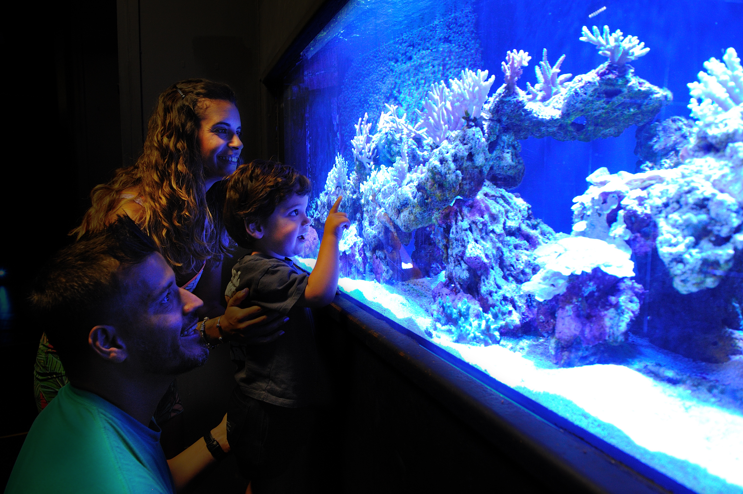 More than 15 million visited Iberian zoos in 2025 with a contribution from Zoomarine