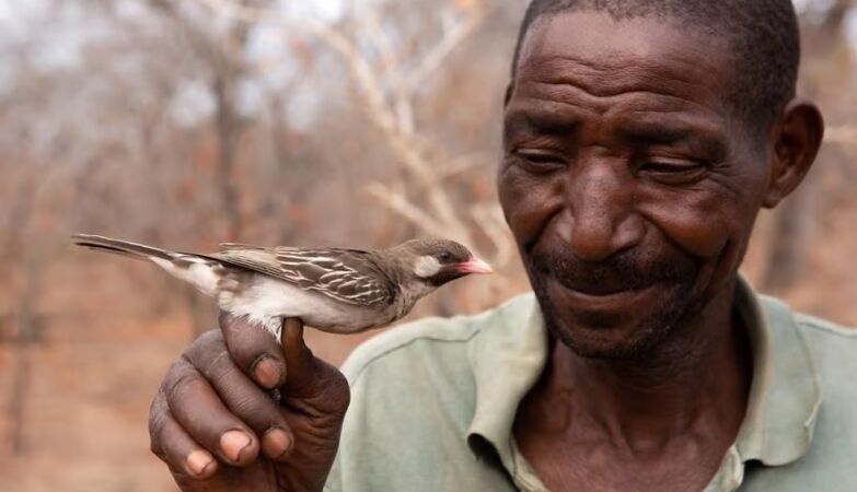 How Mozambicans “talk” to birds to form hunting partnerships