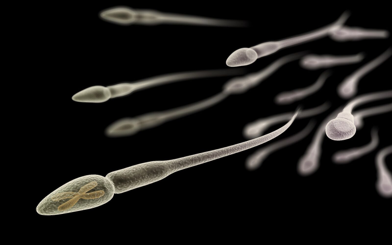 Scientists discover hidden RNA “aging clock” in human sperm