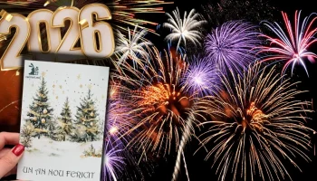 Your lucky month in 2026: When the carpet of riches is rolled out and the magnet of finance powers your card