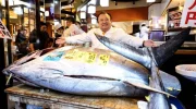 Kiyoshi Kimura no mercado de Toyosu depois de pagar 2,74 milhões de euros pelo peixe. Crédito: Japan Times