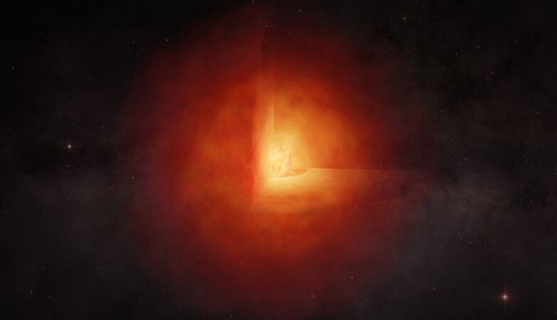 The mysterious Little Red Dots in the Universe are gigantic stars after all