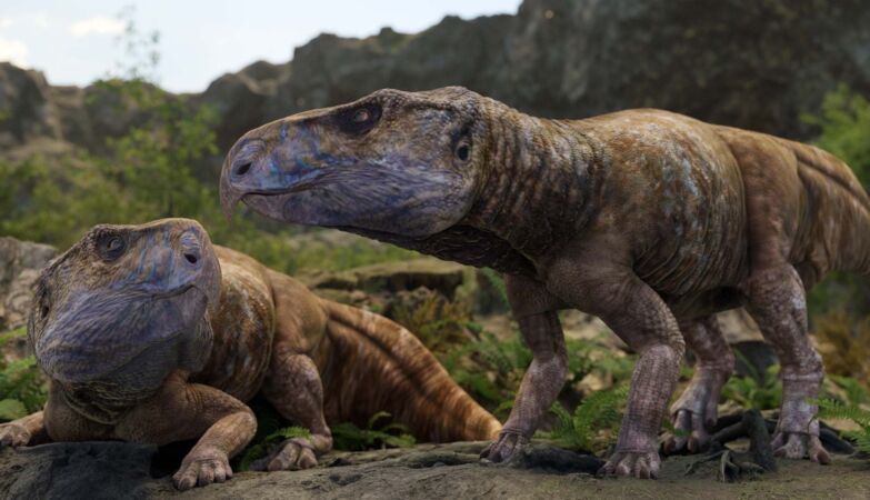 Europe's missing ceratopsids have finally been found