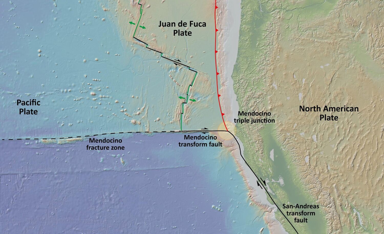 Tectonic plate lost 200 million years ago has reappeared. Science seeks an explanation