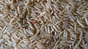Rice fraud: Portuguese study reveals new tools