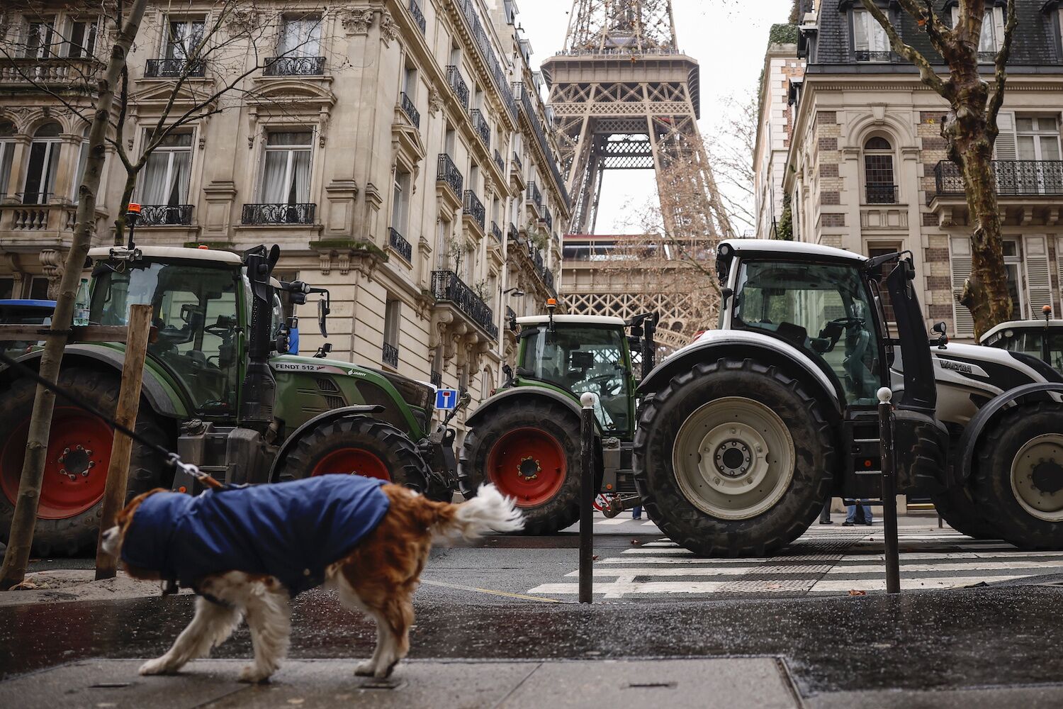 Barriers broke, illegal action: farmers’ “anger” reached central Paris